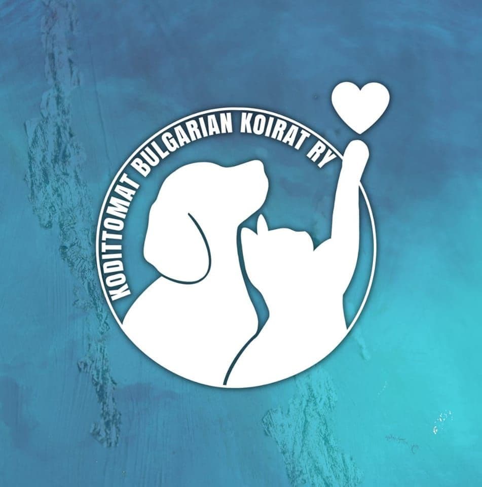 kodittomat Bulgarian koirat