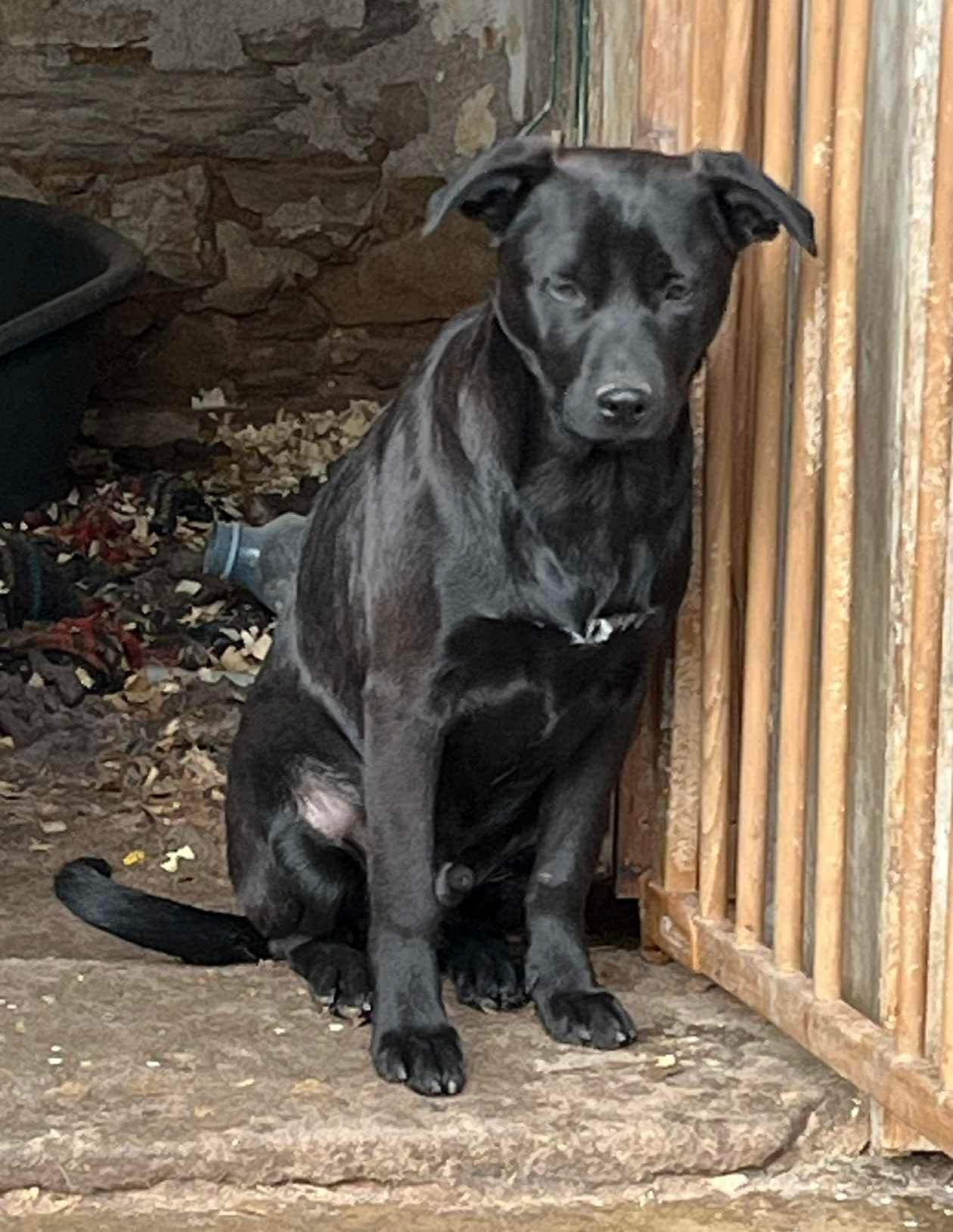 Santos