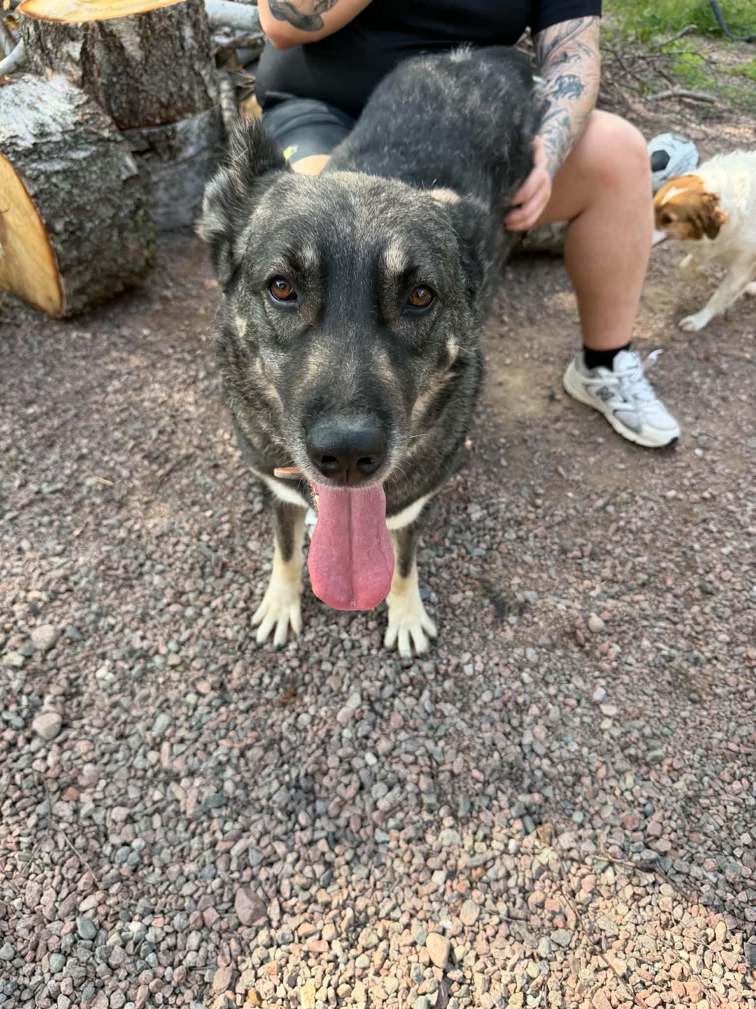Maya